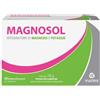 Magnosol Integratore di Magnesio e Potassio 20 Bustine Effervescenti