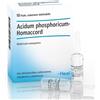 Guna Heel Phosphoricum Ac Homac 10 Fiale