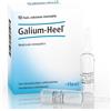 Guna-Heel Galium Soluzione Omeopatica Iniettabile 10 Fiale