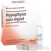 Guna Heel Hypophysis suis-injeel 10 Fiale da 1,1 ml