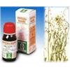 Specchiasol Soluzione Idroalcolica 4 Borsa del Pastore 50 ml