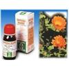 Specchiasol Calendula 5 Tintura Madre 50 ml