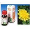 Specchiasol Tarassaco 28 Tintura Madre 50 ml