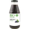 SUCCO DI MIRTILLO 500ML