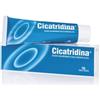 Cicatridina Pomata Irritazioni Arrossameni 60 g