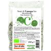 OXXIGENA Fior di Loto Semi di Canapa Decorticati Bio 250 g