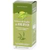 OLIVO INFUSO FOGLIE 500ML