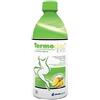 TERMODREN EVO ANANAS 500ML
