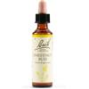 Schwabe Fiori di Bach 07 Chestnut Bud Gocce 20 ml
