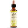 Schwabe Fiori di Bach 09 Clematis Gocce 20 ml