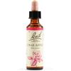Schwabe Fiori di Bach 10 Crab Apple Gocce 20 ml