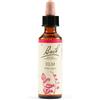 Schwabe Fiori di Bach 11 Elm Gocce 20 ml