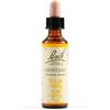 Schwabe Fiori di Bach 12 Gentian Gocce 20 ml