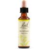 Schwabe Fiori di Bach 21 Mustard Gocce 20 ml