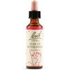 Schwabe Fiori di Bach 29 Star of Bethlem Gocce 20 ml