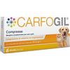 CARFOGIL 30CPR