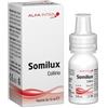 SOMILUX COLLIRIO 10ML