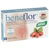 Santiveri Beneflor Integratore Flora Intestinale 40 Capsule