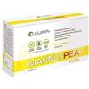 MANNOSPEA 14BUST