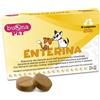 ENTERINA 10CPR