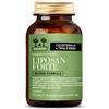 LIPOSAN FORTE NF SALUGEA 60CPS