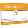 CONDROSPIR 14BUST