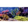 MIRRORANG 61x41cm Durevole Vinile Acquario Decorazione Sfondo Corallo Pesce Tropicale Subacqueo Acquario Poster Sfondo