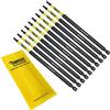 SabreCut 10 x SabreCut SCTX15152_10 152 mm T15 TX15 Set di punte per cacciavite a impatto magnetico Torx Heavy Duty compatibile con Dewalt Milwaukee Bosch Makita e altro