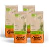 Bristot, Caffè Macinato BIOLOGICO - Totale 1 kg - Caffè in Polvere per Moka, Miscela Centro America e India, Lieve Acidità e Corposità Gradevole - Set da 4 Confezioni da 250g