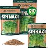 ZenGreens® - Semi di spinaci biologico - Scegli tra 10g, 200g e 500g - Germogli di spinaci - Germinazione superiore al 97% - Microgreens