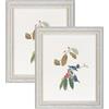 YoHyien Set di 2 Cornici Foto Vintage 20x25 cm, Cornici Portafoto Shabby Chic da Parete e Tavola, Quadro Portafoto Decorative da Appendere Al Muro, Orizzontale e Verticale (Bianco, 20 x 25 cm)