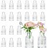 Hewory Mini Vaso in Vetro per Matrimonio: Set 20 Pezzi Decorativi da Interno - Centrotavola per Bomboniere, Cresima, Casa, Wedding