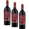 Raymond Huet - Bordeaux AOC invecchiato in botti di rovere, vino rosso di Bordeaux (1 x 0,75L) (Confezione da 3)