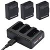 Newmowa 1300mAh Rechargeable AHDBT-302 Batteria (confezione da 3) and Rapid 3-Channel Caricatore Rapido per Hero 3, Hero 3+