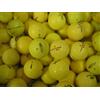Lakeballs 50 Assorted Yellow AAA Grade Golf Balls - Lakeballs by Lakeballs