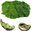 ddckj Muschio Stabilizzato 100g Muschio Finto per Decorazioni per Lavori Artigianali Decorazioni Natalizie da Giardino e da Tavola, 50 g Verde Chiaro e 50 g Verde Scuro