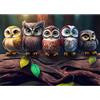 EOBROMD 5D Diamond Painting Kit Completo, Gufi Pittura Diamante FAI DA TE, Animali Diamond Painting Bambini Adulti, Animali Strass Ricamo a Punto Croce Painting Decorazione per Casa 30x40cm