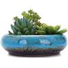 VanEnjoy, Fioriera rotonda in ceramica smaltata, 18,5 cm, grande, poco profonda, con foro di drenaggio, vasi per bonsai, decorazione da giardino, contenitore per cactus e fiori (blu)