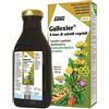 Gallexier Sciroppo Al Carciofo Integratore Digestivo Depurativo 250 ml