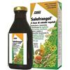 Salufrangol Integratore Transito Intestinale 250 ml