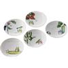 Noritake My Neighbor Totoro Vegetable series Set di 5 piatti da 15,5 cm Japan...