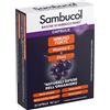 NAMED Srl SAMBUCOL IMMUNOFORTE 30 CAPSULE