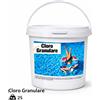 Dicloro granulare al 56% - Cloro stabilizzato a rapida dissoluzione per piscina 25 kg