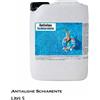 Antialghe schiarente - Alghicida non schiumogeno 5 L