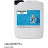 Disincrostante extra - Detergente acido per piscine 10 L