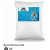 Sale marino essiccato - Per piscine con elettrolisi 25 kg