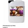 Essenza per bagno turco e doccia emozionale - Fragranza pino 5 L