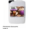 Essenza per bagno turco e doccia emozionale - Fragranza eucalipto 5 L
