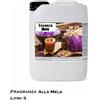 Essenza per bagno turco e doccia emozionale - Fragranza mela 5 L