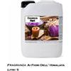 Essenza per bagno turco e doccia emozionale - Fragranza fiori dell'Himalaya 5 L